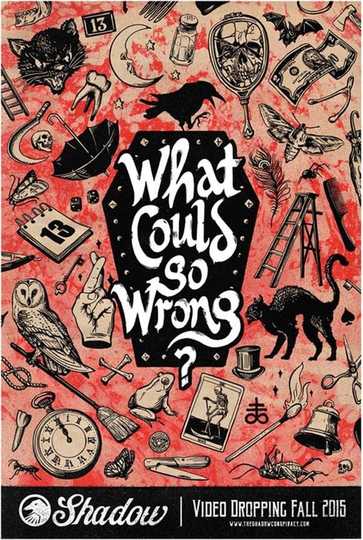 What Could Go Wrong Poster