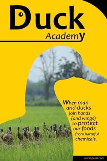 Duck Academy