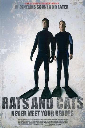 Rats and Cats Poster