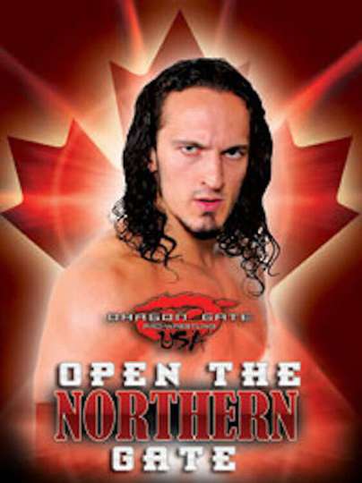 Dragon Gate USA Open The Northern Gate Poster