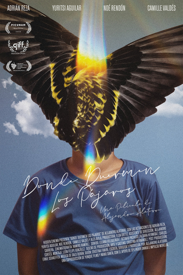 Where Birds Dream Poster