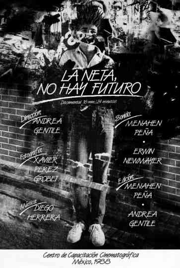 In Fact, There is not Future poster