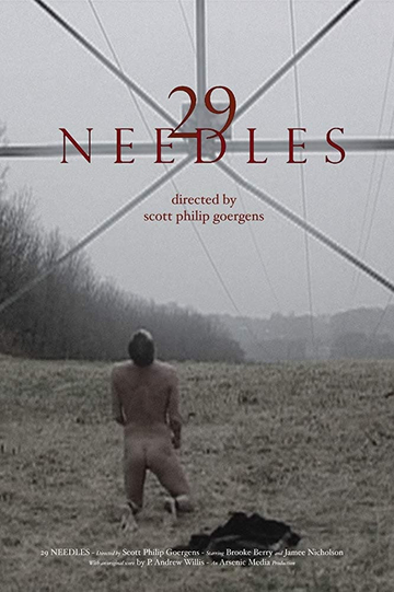 29 Needles Poster