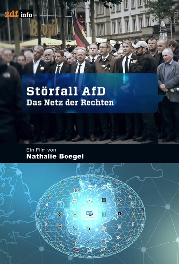 Störfall AfD  Das Netz der Rechten