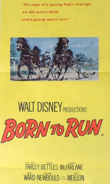 Born to Run Poster