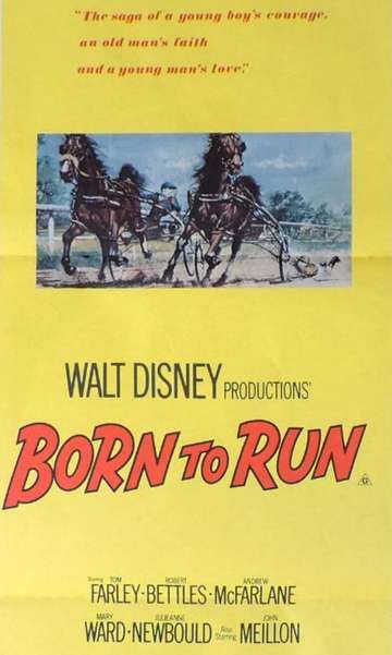 Born to Run Poster