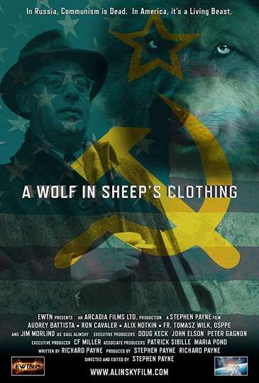 A Wolf in Sheeps Clothing Poster