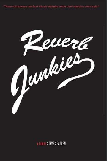 Reverb Junkies Poster