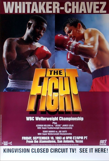 Pernell Whitaker vs Julio César Chávez Poster