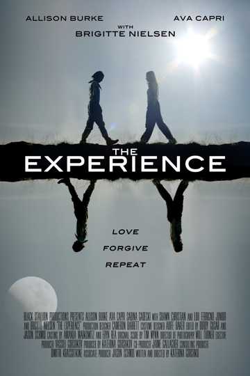 The Experience Poster