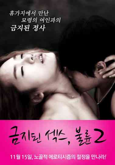 Forbidden Sex: Affair 2