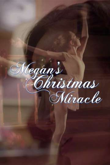Megans Christmas Miracle Poster