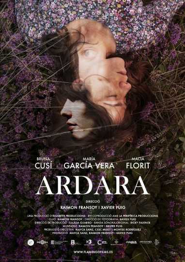 Ardara Poster