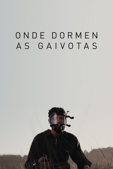 Onde dormen as gaivotas