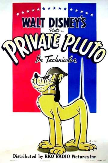 Private Pluto Poster