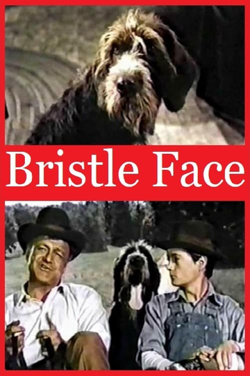 Bristle Face Poster