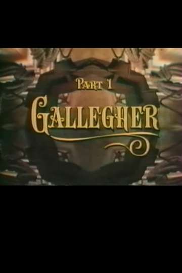 The Adventures of Gallegher Poster