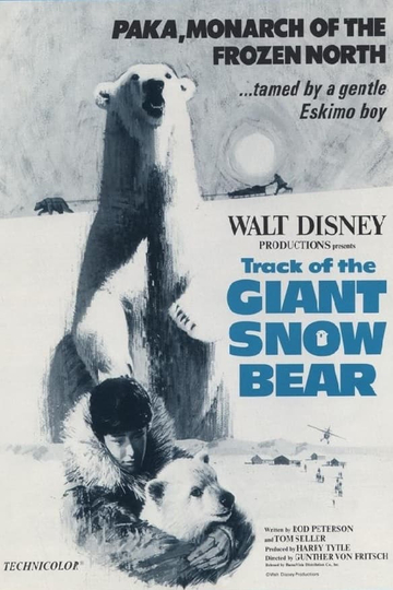 Snow Bear Poster