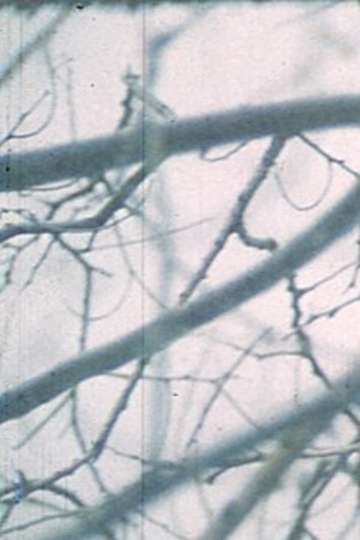 Wintergarden. Hudson River Diary Book: III Poster