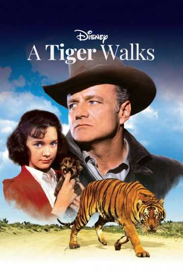 A Tiger Walks Poster