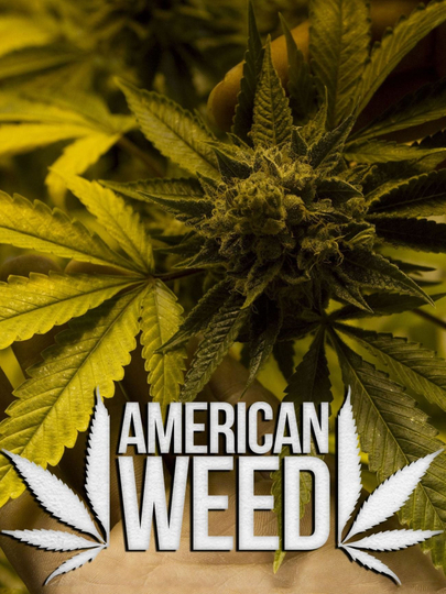 American Weed