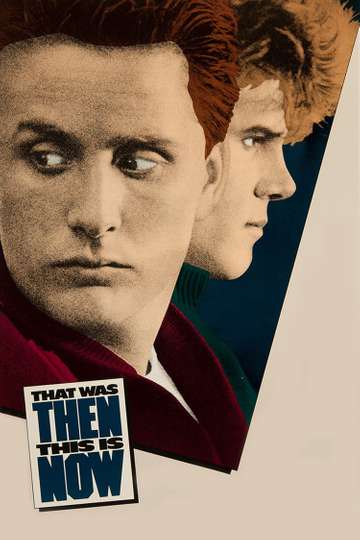 That Was Then This Is Now Poster