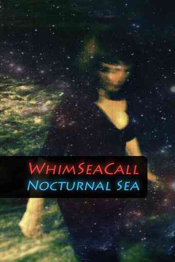 WhimSeaCall  Nocturnal Sea poster