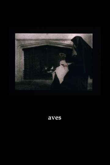 Aves Poster