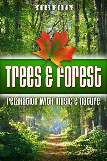 Trees  Forest Echoes of Nature Relaxation with Music  Nature