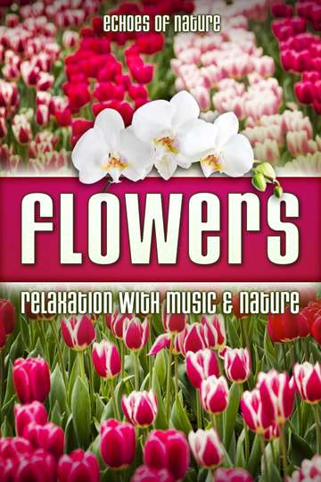 Flowers Echoes of Nature Relaxation with Music  Nature