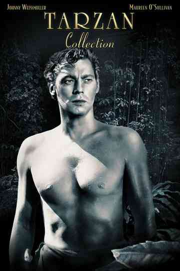 Tarzan (Johnny Weissmuller) Collection Poster
