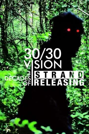 3030 Vision Three Decades of Strand Releasing Poster
