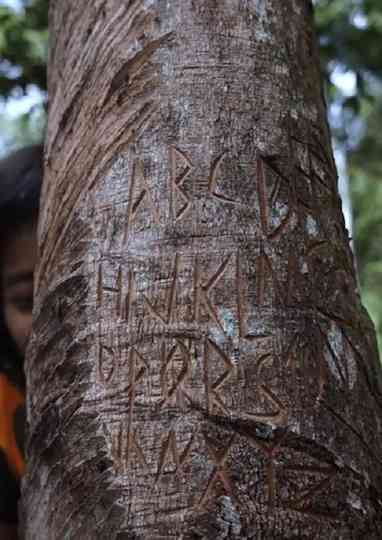 Rimba Kini