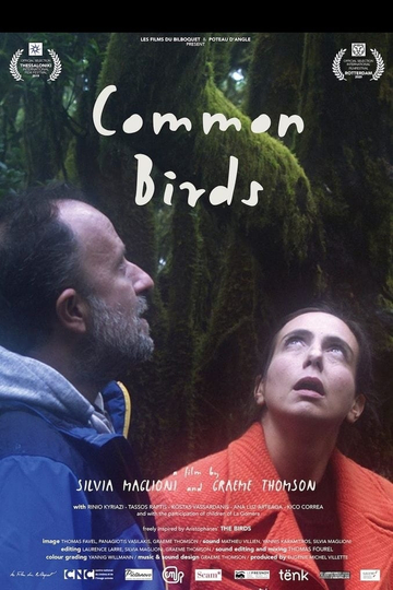 Common Birds Poster