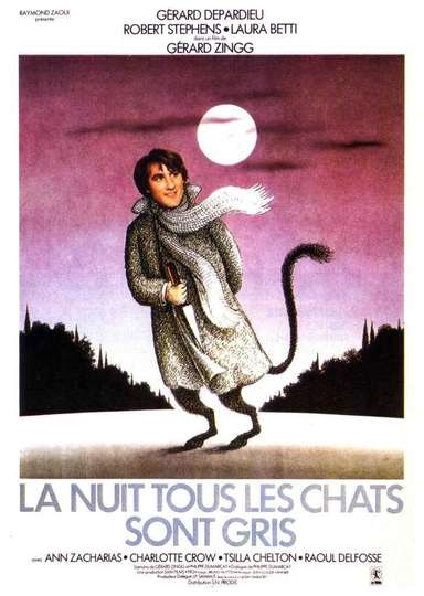 At Night All Cats Are Crazy Poster
