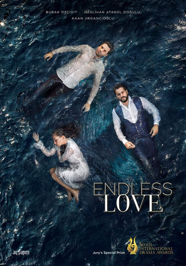 Endless Love Poster