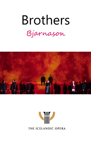 Brothers  Bjarnason Poster