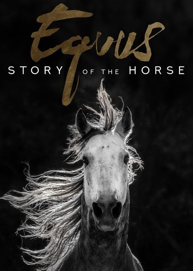 Equus Story of the Horse Poster