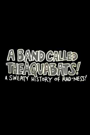 A Band Called The Aquabats A Sweaty History of Radness