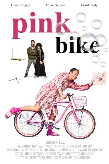 Pink Bike Poster