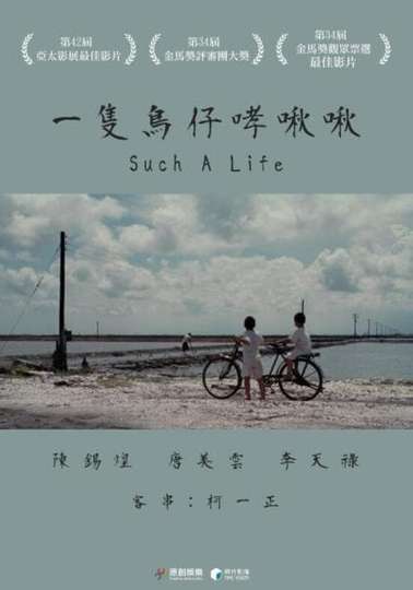 Such a life Poster