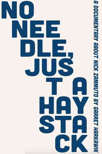 No Needle Just A Haystack