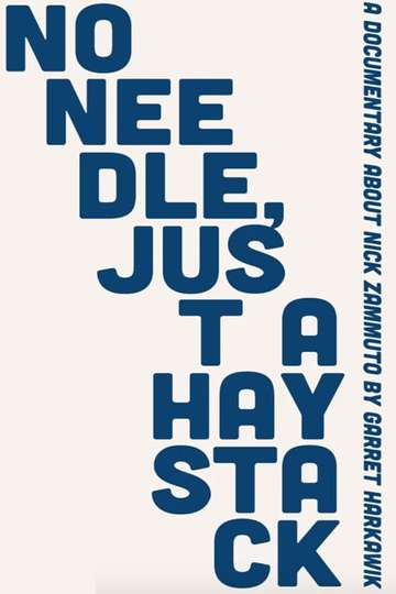 No Needle Just A Haystack Poster