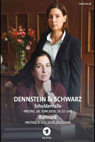 Dennstein & Schwarz - Pro bono, was sonst! Poster