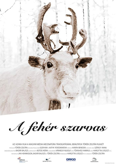 The White Reindeer