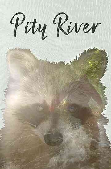 Pity River