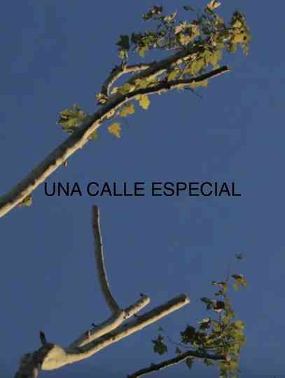 Una Calle Especial