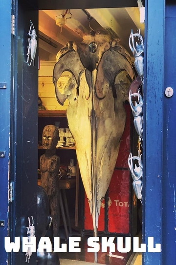 Whale Skull