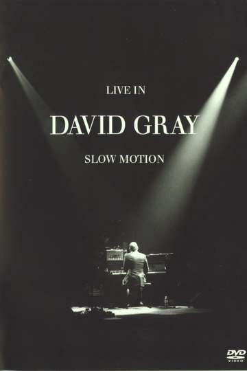David Gray LIVE in Slow Motion Poster