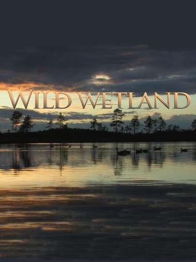 Wild Wetland